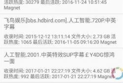 91野战直播磁力,揭秘热门磁力链接背后的精彩瞬间