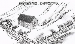 池塘漫画,揭秘水下生态的趣味故事
