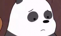 漫画熊头像,漫画熊头像的魅力解析